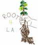 Root for LA